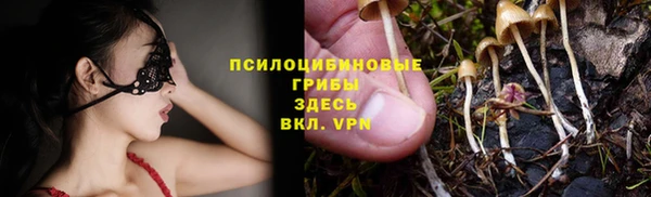 дживик Аркадак