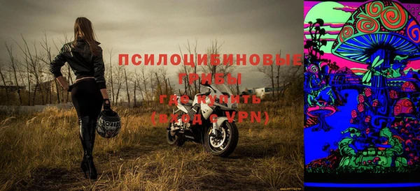 шишки Армянск