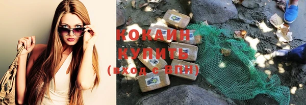 шишки Армянск